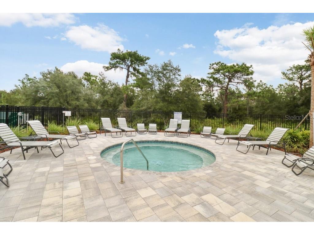 33570 Darley Dale Trail Wesley Chapel FL 33545 TB8451111 image38