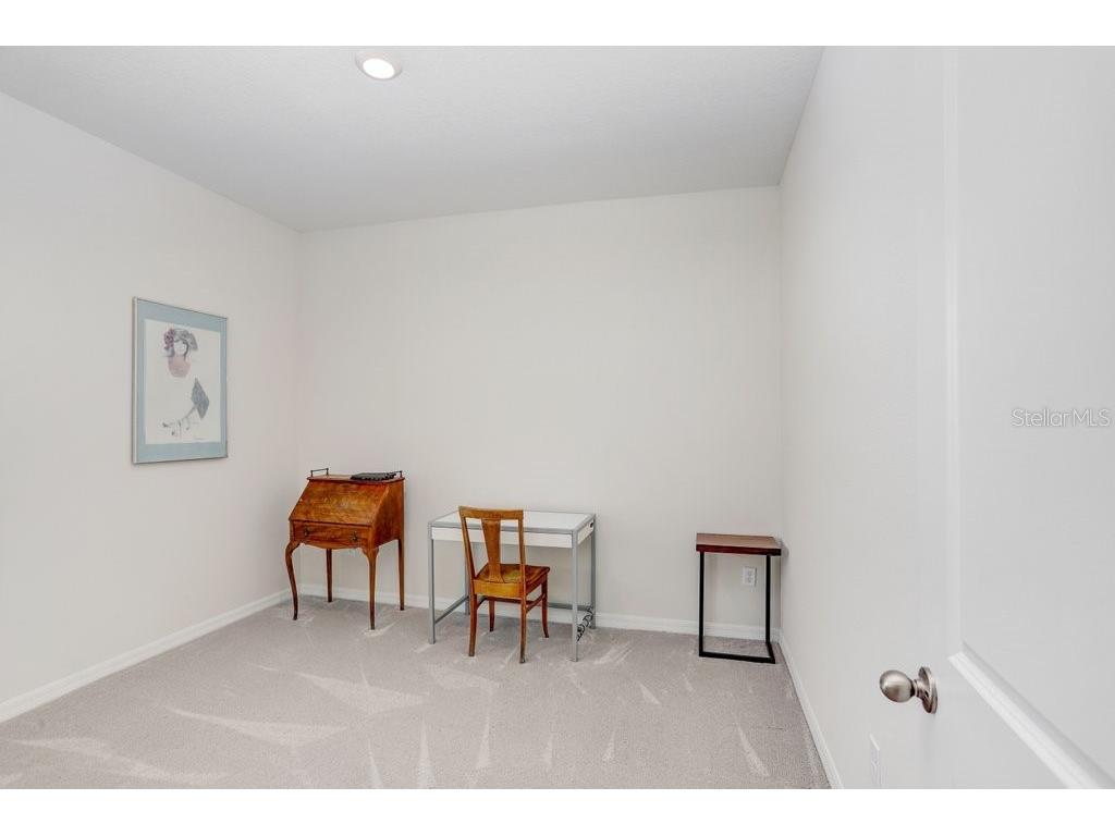 33570 Darley Dale Trail Wesley Chapel FL 33545 TB8451111 image9