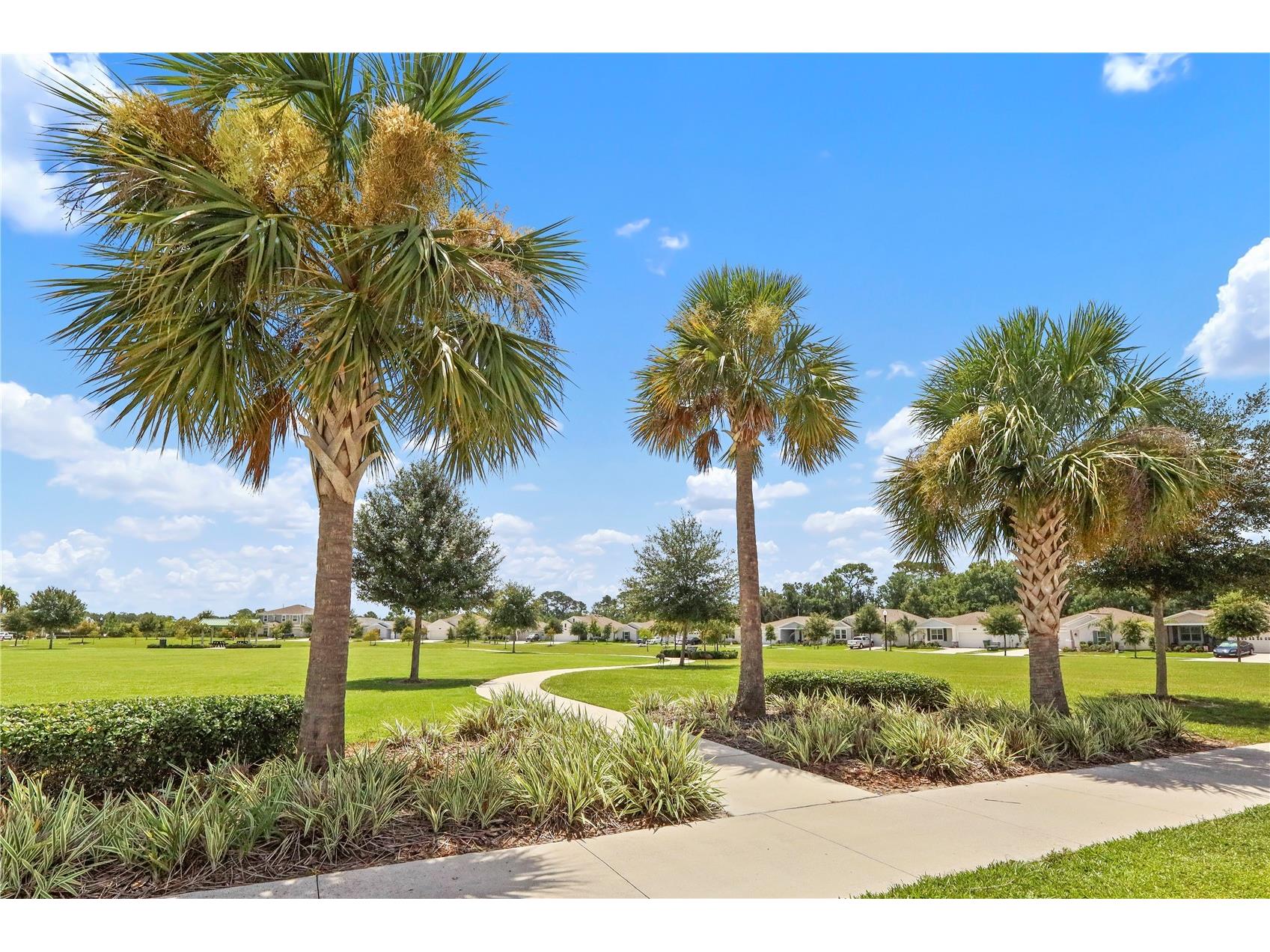 33571 Sky Blossom Circle Leesburg FL 34788 G5115440 image52