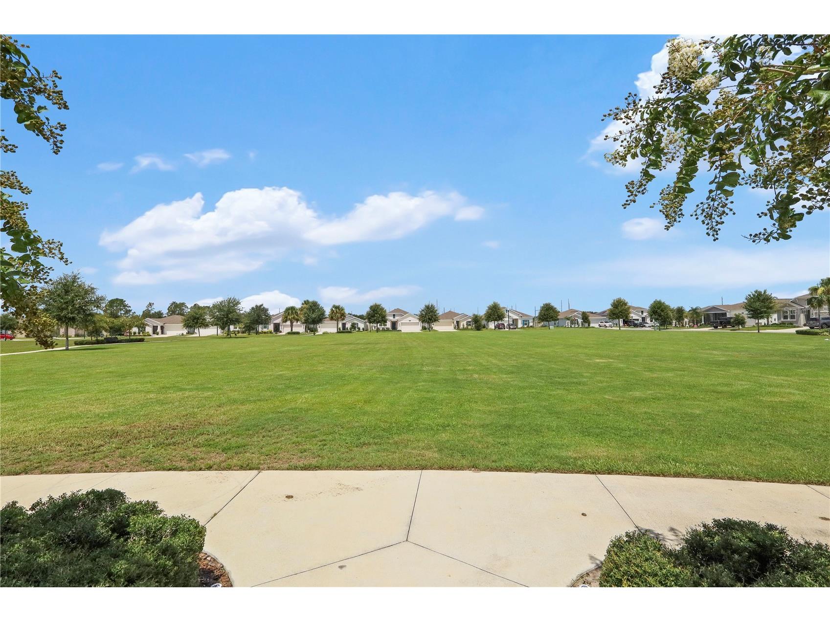 33571 Sky Blossom Circle Leesburg FL 34788 G5115440 image53