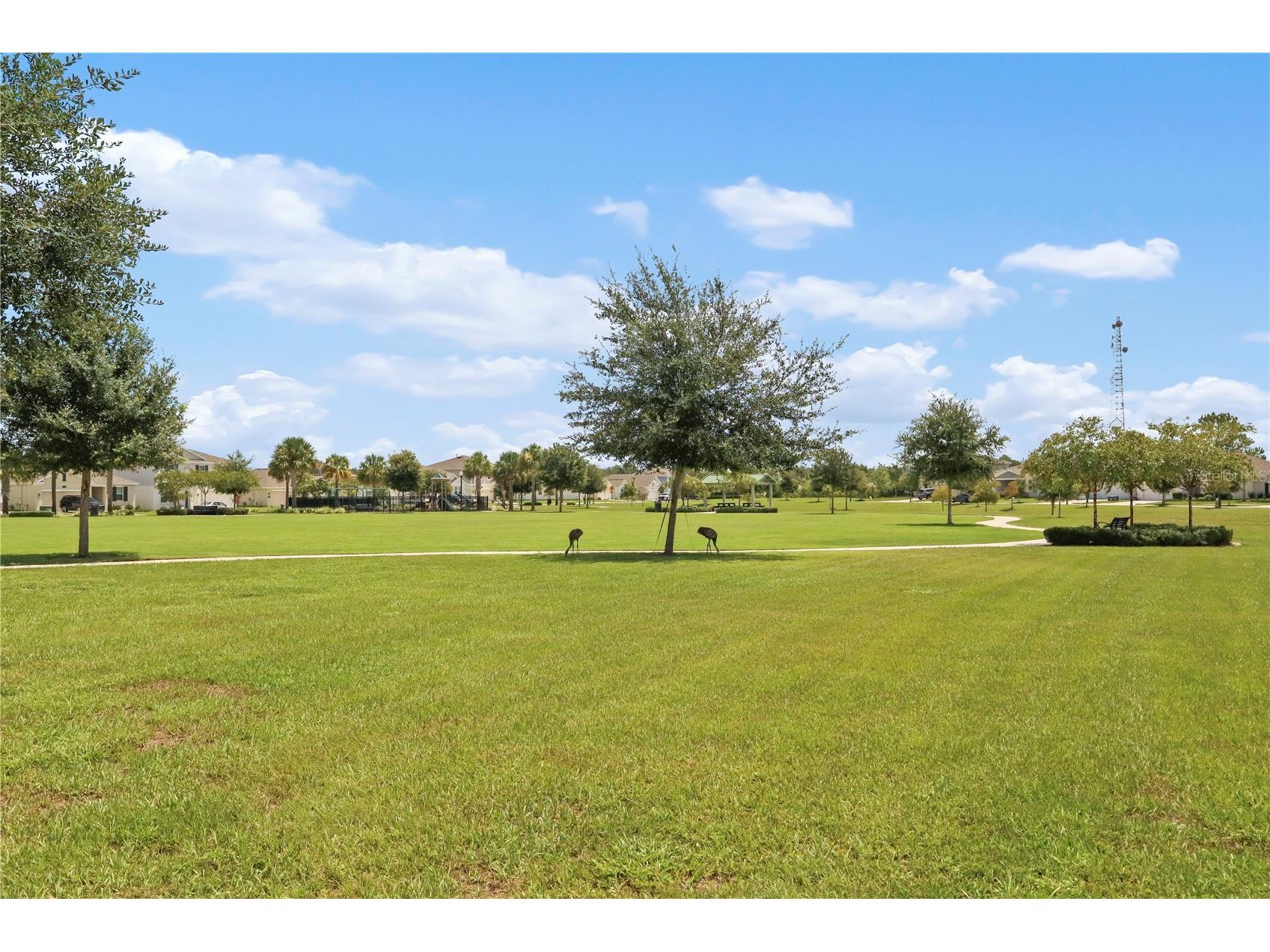33571 Sky Blossom Circle Leesburg FL 34788 G5115440 image54