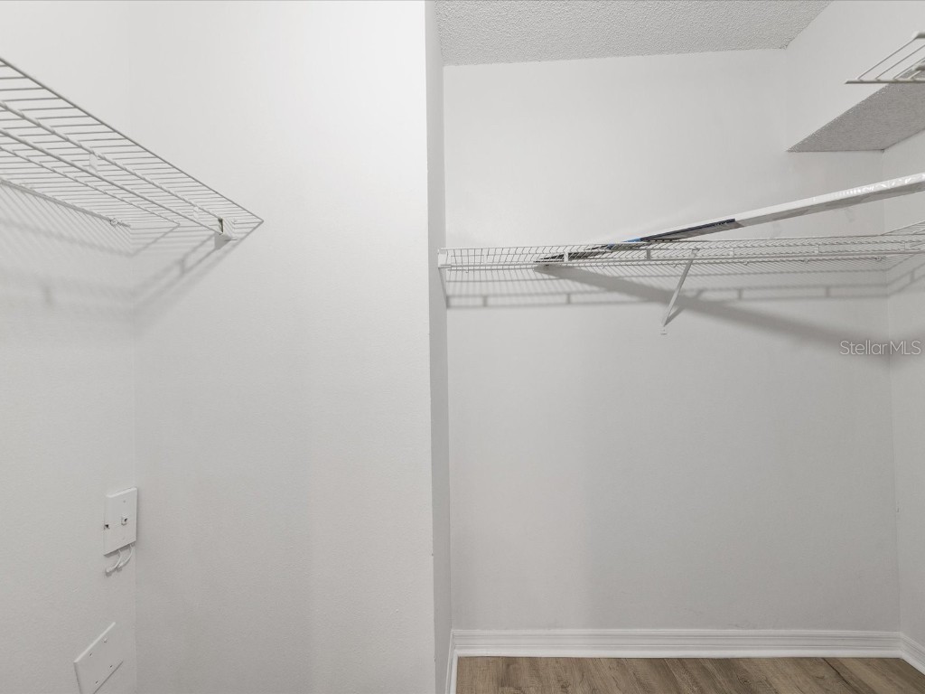 3358 Mermoor Drive #2102 Palm Harbor FL 34685 W7879330 image15