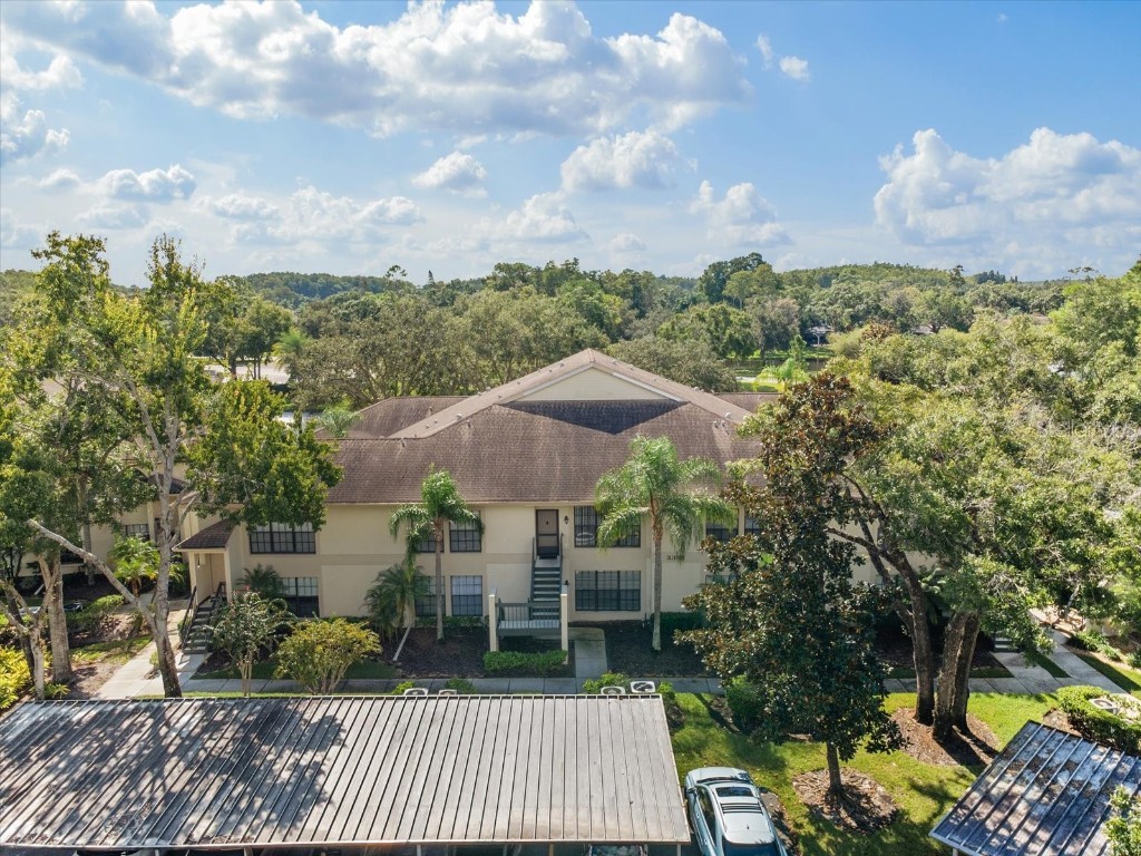 3358 Mermoor Drive #2102 Palm Harbor FL 34685 W7879330 image24
