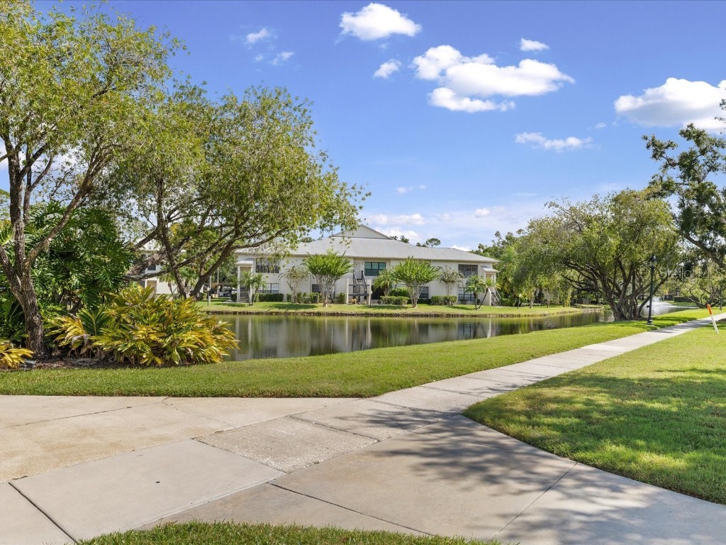 3358 Mermoor Drive #2102 Palm Harbor FL 34685 W7879330 image28