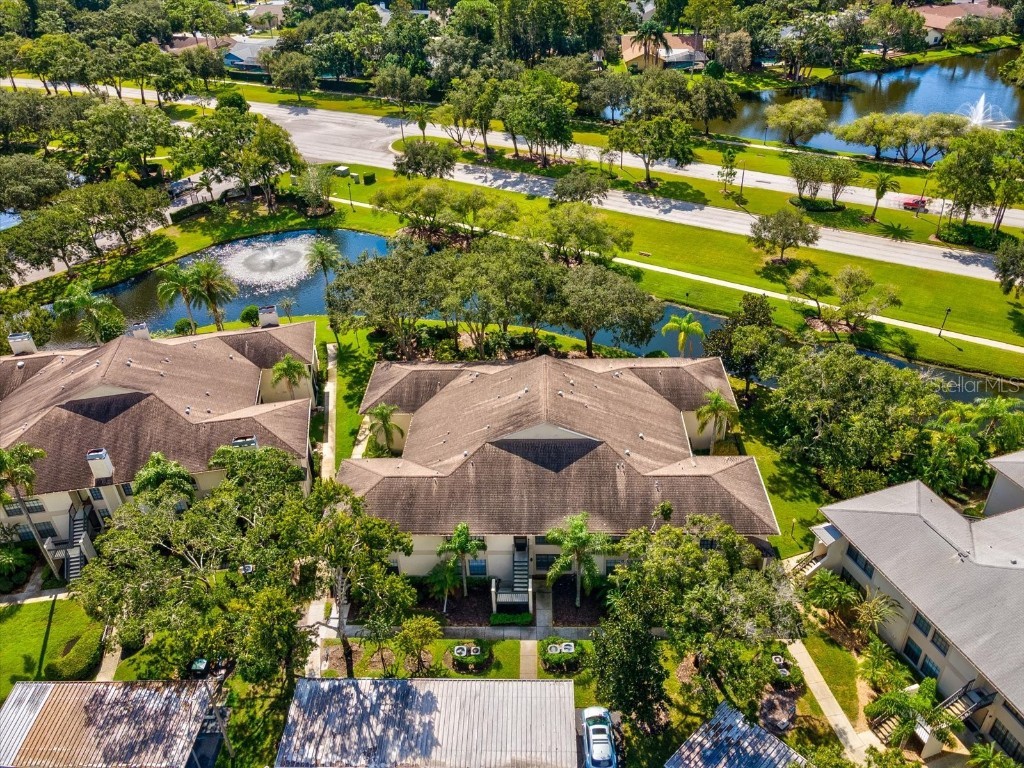 3358 Mermoor Drive #2102 Palm Harbor FL 34685 W7879330 image29