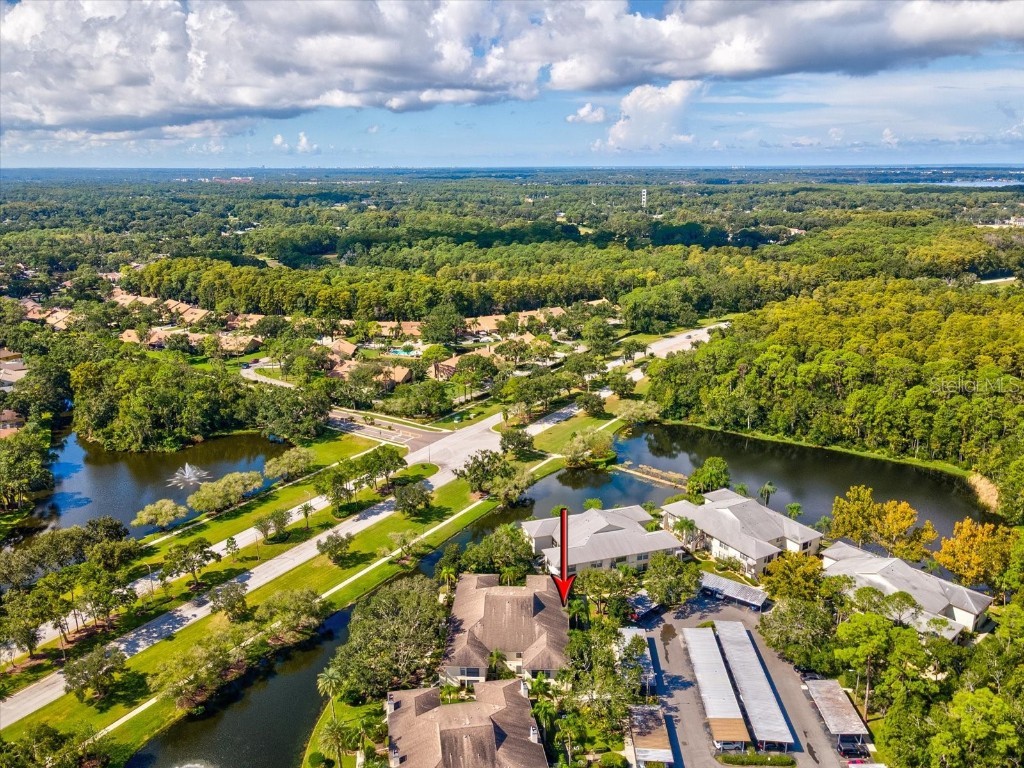 3358 Mermoor Drive #2102 Palm Harbor FL 34685 W7879330 image30