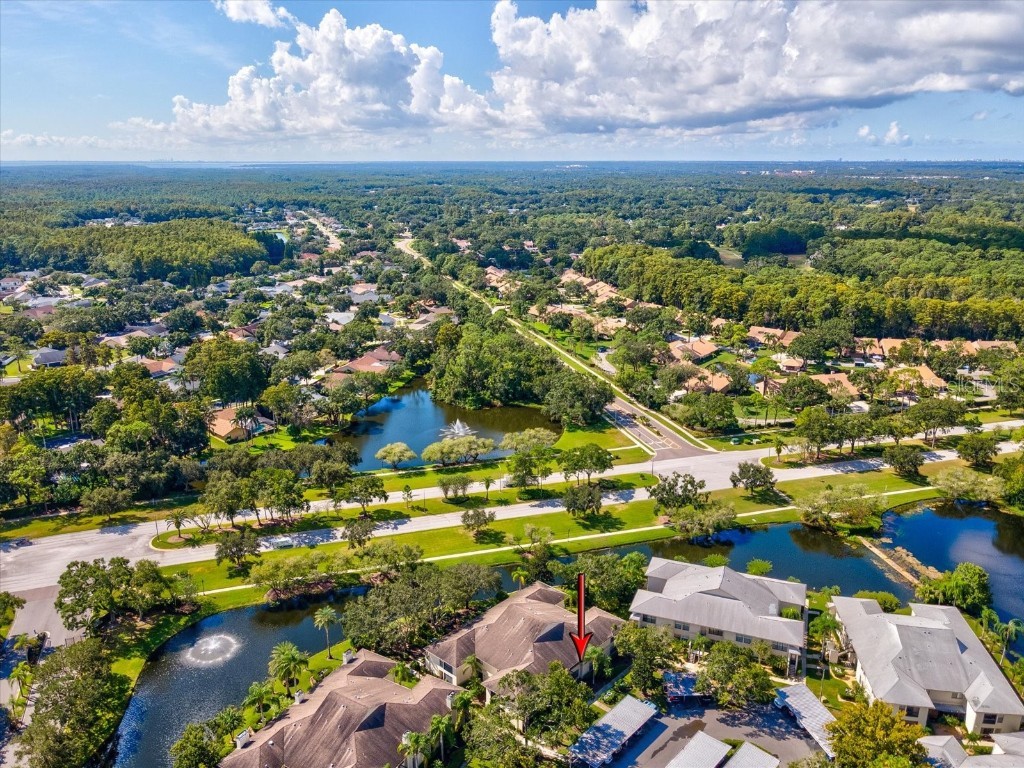 3358 Mermoor Drive #2102 Palm Harbor FL 34685 W7879330 image31