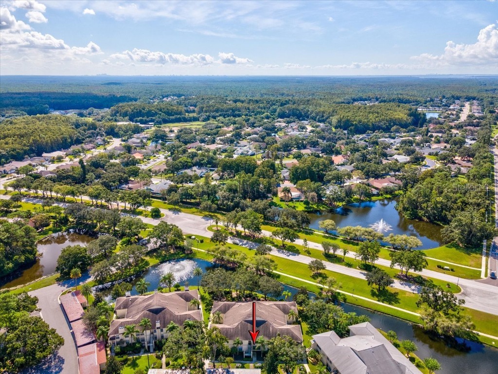 3358 Mermoor Drive #2102 Palm Harbor FL 34685 W7879330 image32