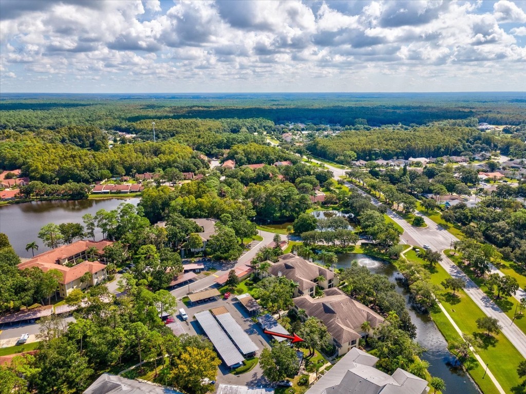 3358 Mermoor Drive #2102 Palm Harbor FL 34685 W7879330 image34