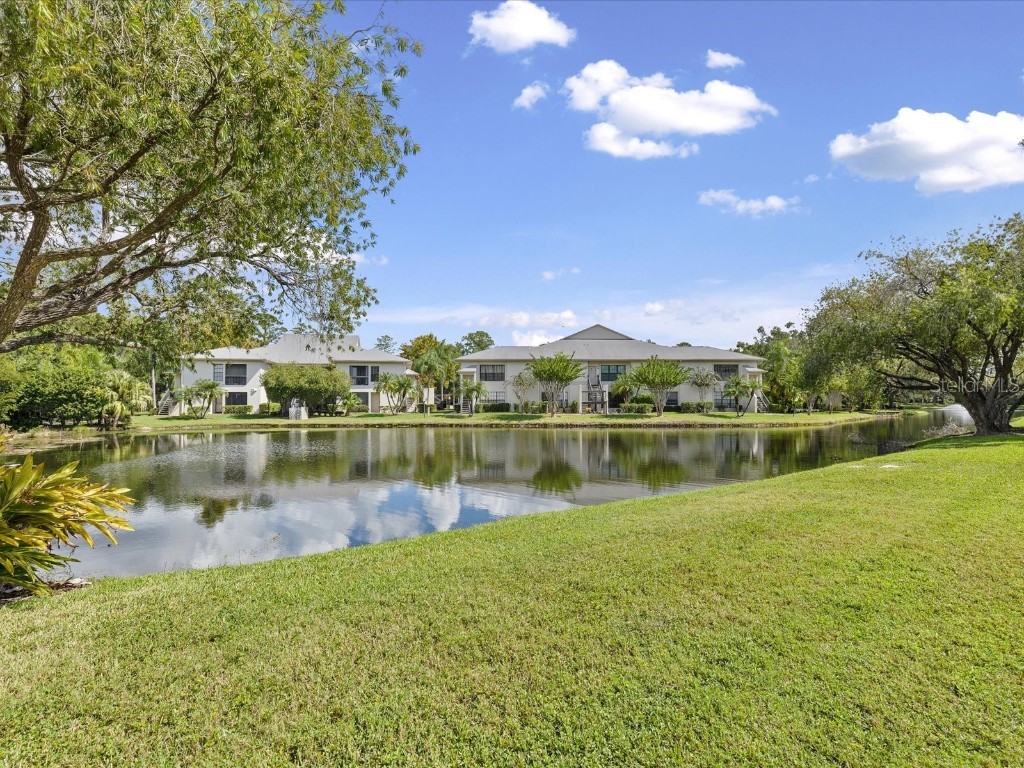 3358 Mermoor Drive #2102 Palm Harbor FL 34685 W7879330 image35