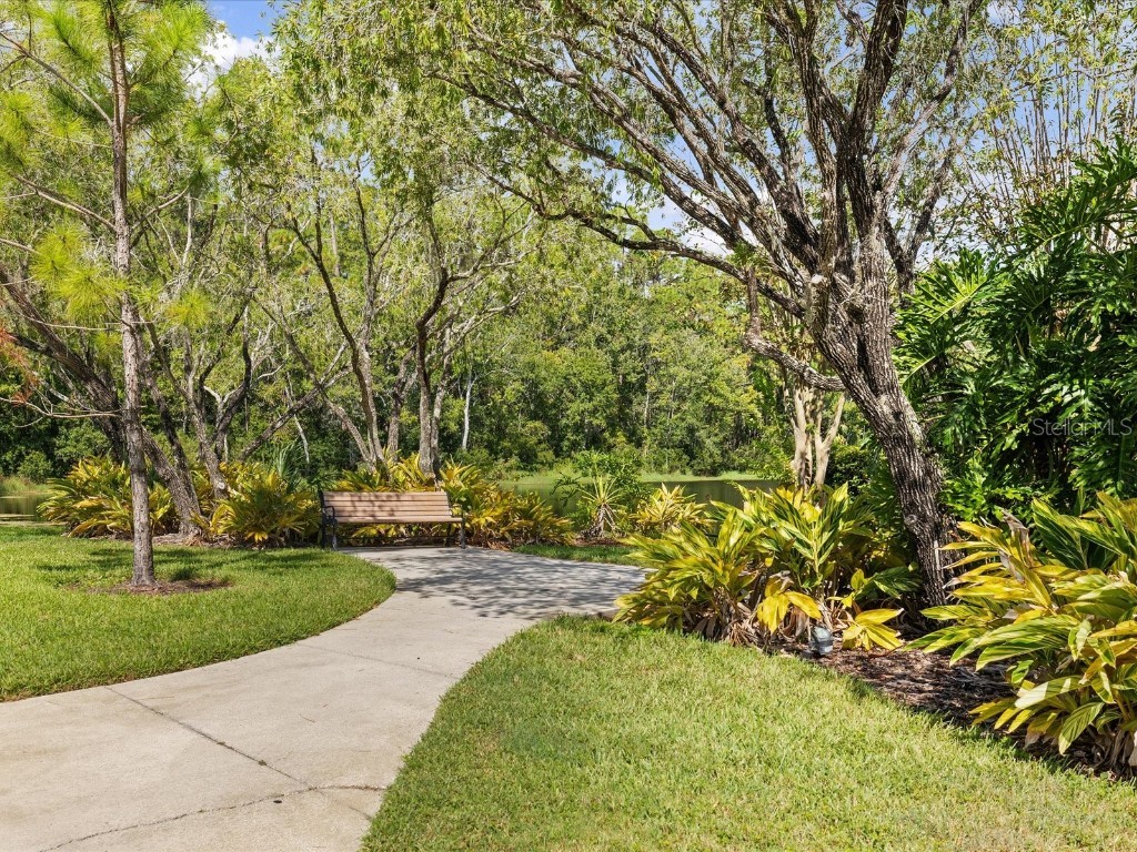 3358 Mermoor Drive #2102 Palm Harbor FL 34685 W7879330 image37