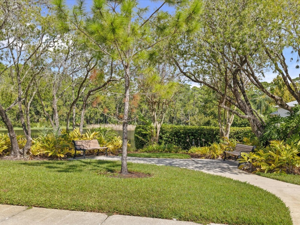 3358 Mermoor Drive #2102 Palm Harbor FL 34685 W7879330 image38