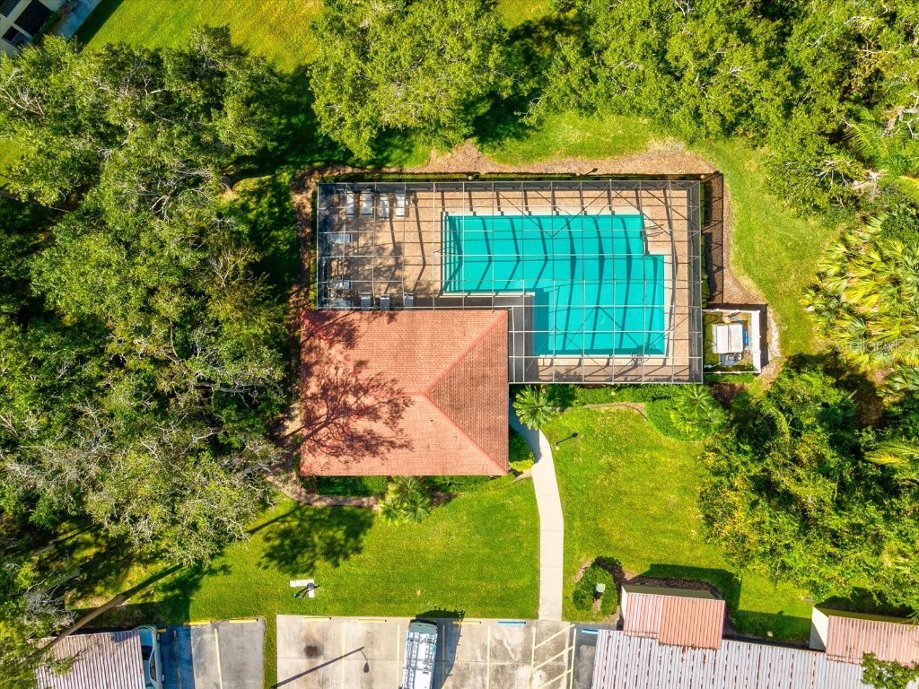 3358 Mermoor Drive #2102 Palm Harbor FL 34685 W7879330 image42