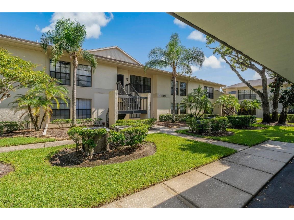3358 Mermoor Drive #2205 Palm Harbor FL 34685 TB8420755 image1
