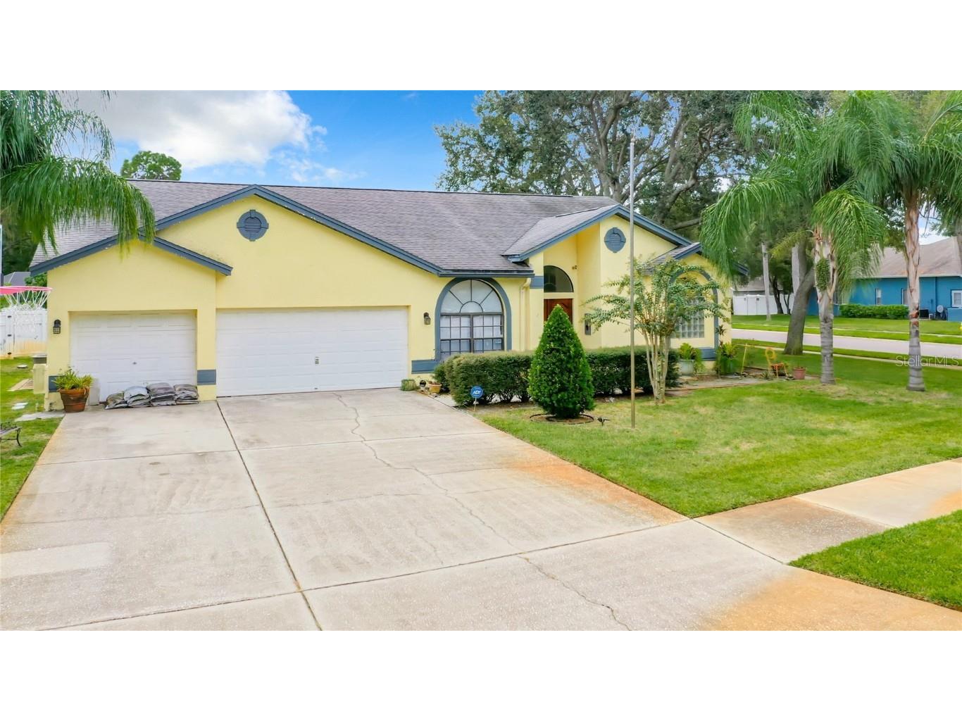 3358 Pattie Place Palm Harbor FL 34685 O6145046 image1