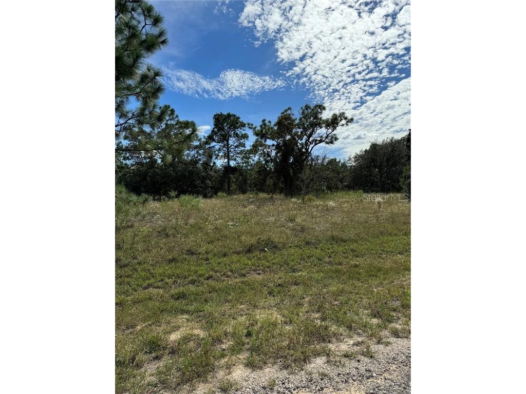 3358 W Nieman Drive Dunnellon FL 34433 S5113949 image1