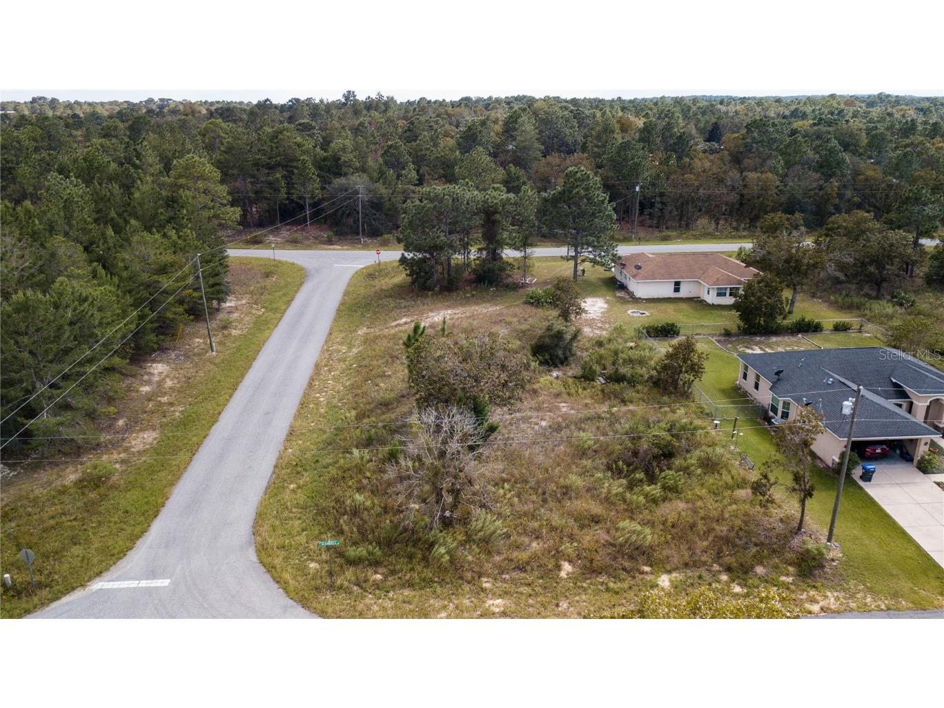 3358 W Seahorse Lane Citrus Springs FL 34434 FC294925 image1