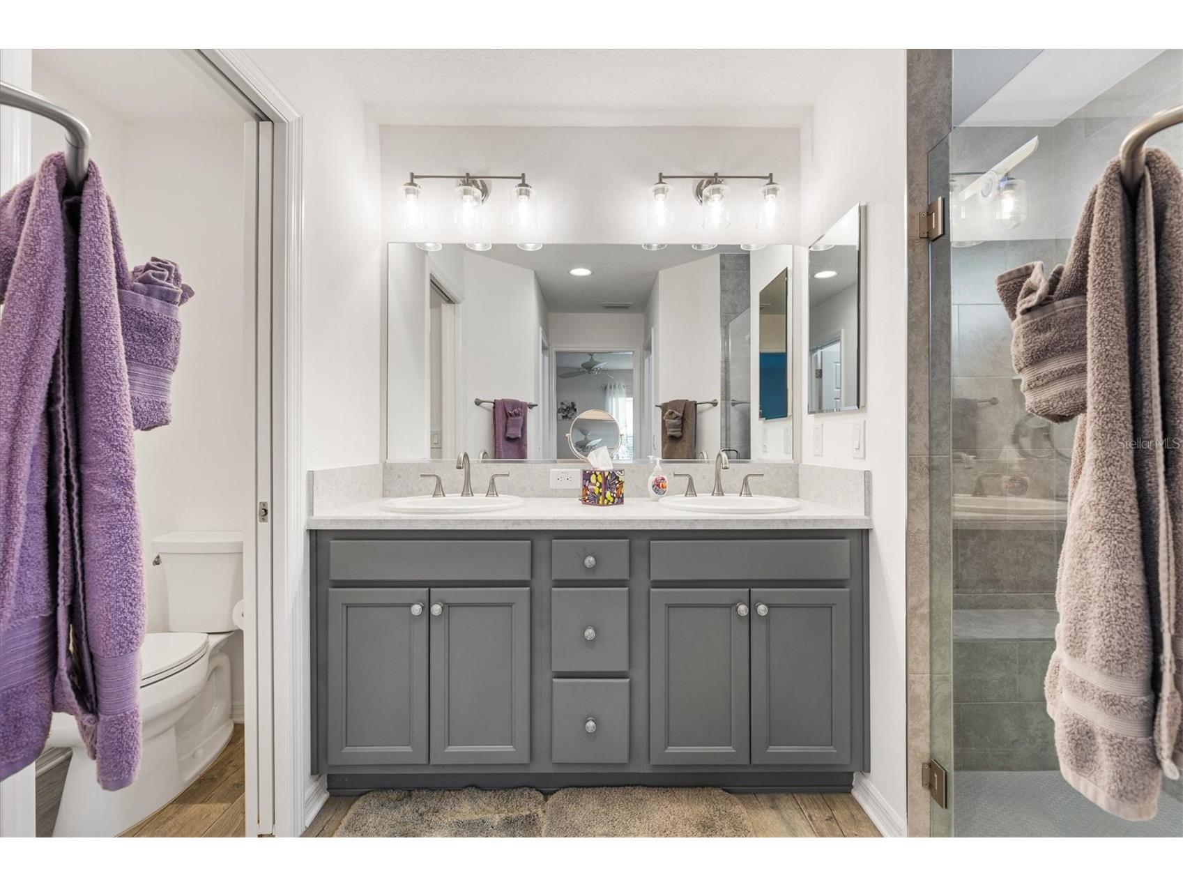 3359 Brianna Lane The Villages FL 32163 O6409451 image14