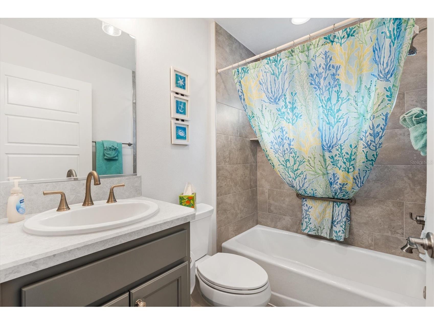 3359 Brianna Lane The Villages FL 32163 O6409451 image16