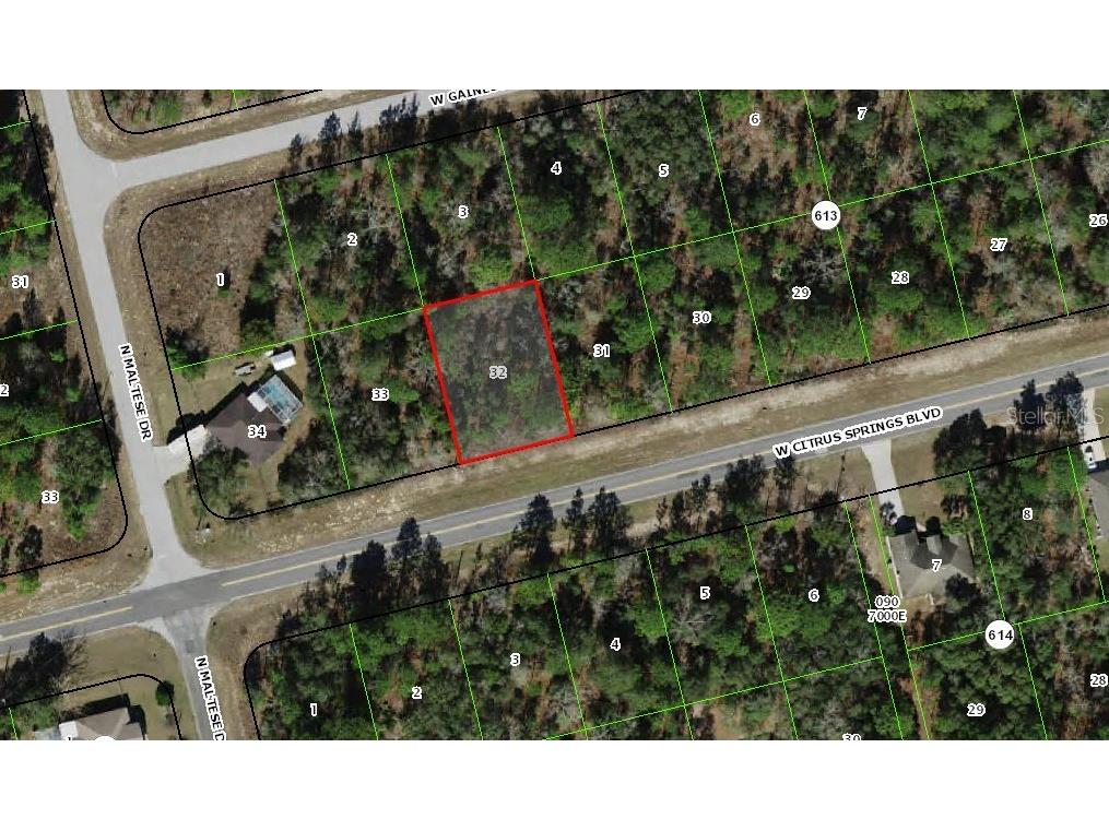 3359 W Citrus Springs Boulevard Citrus Springs FL 34433 C7507543 image1