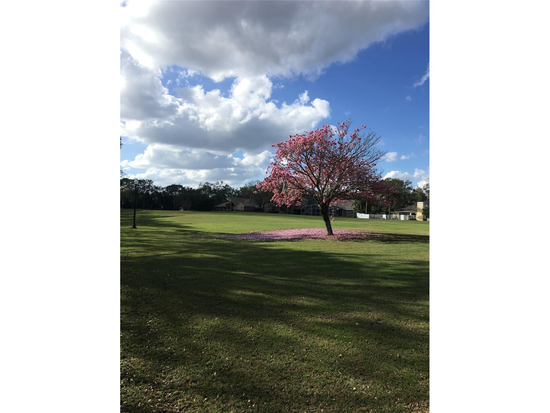 336 Ashford Court Lake Mary FL 32746 O6395391 image59