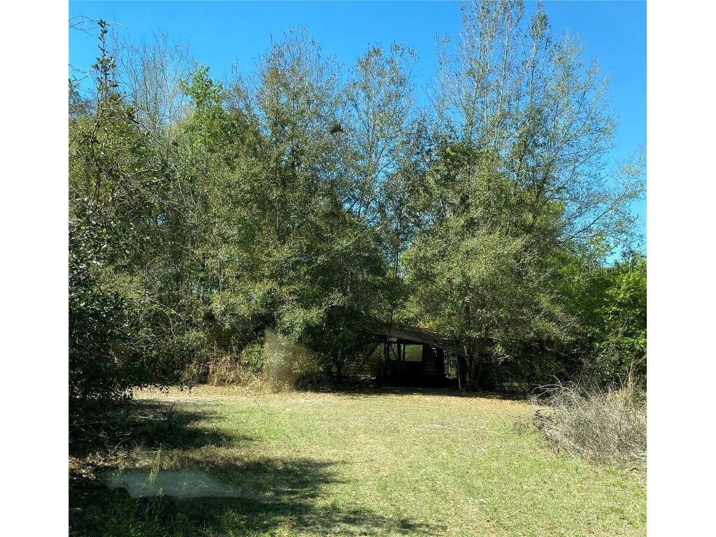 336 Bug Tussel Lane Lady Lake FL 32159 OM635796 image1