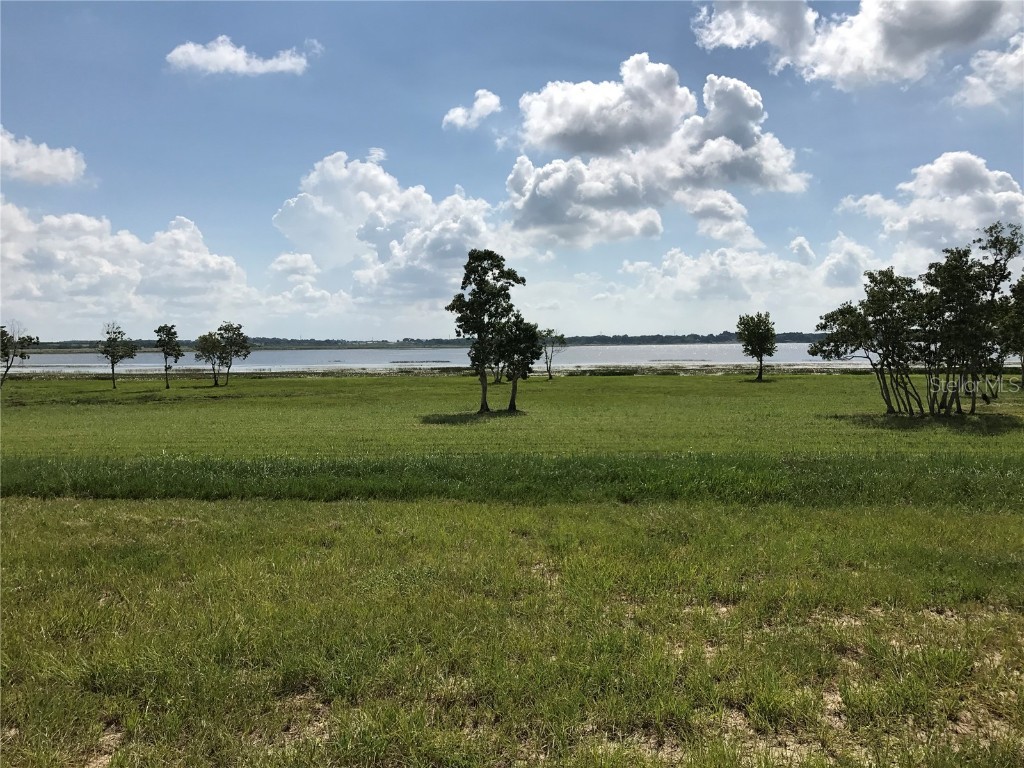 336 Caladium Avenue Lake Alfred FL 33850 - LAKE ALFRED P4925535 image1