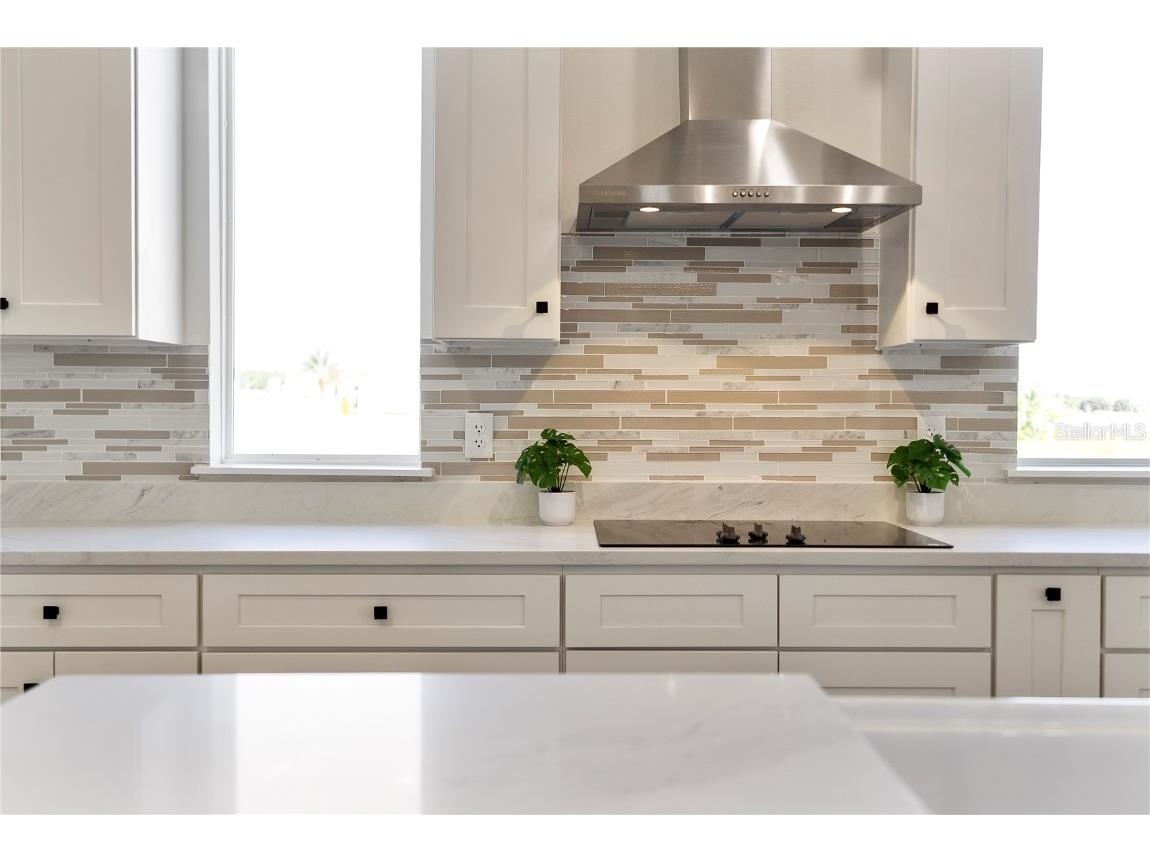 336 Caladium Avenue Lake Alfred FL 33850 O6279545 image16