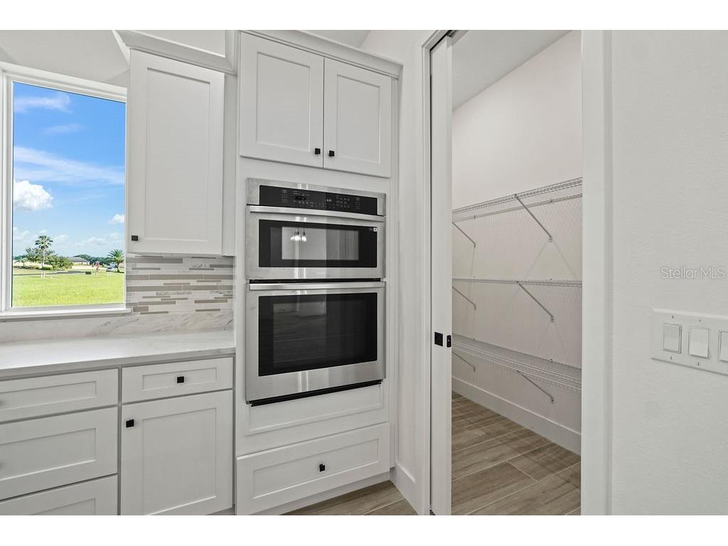 336 Caladium Avenue Lake Alfred FL 33850 O6279545 image49