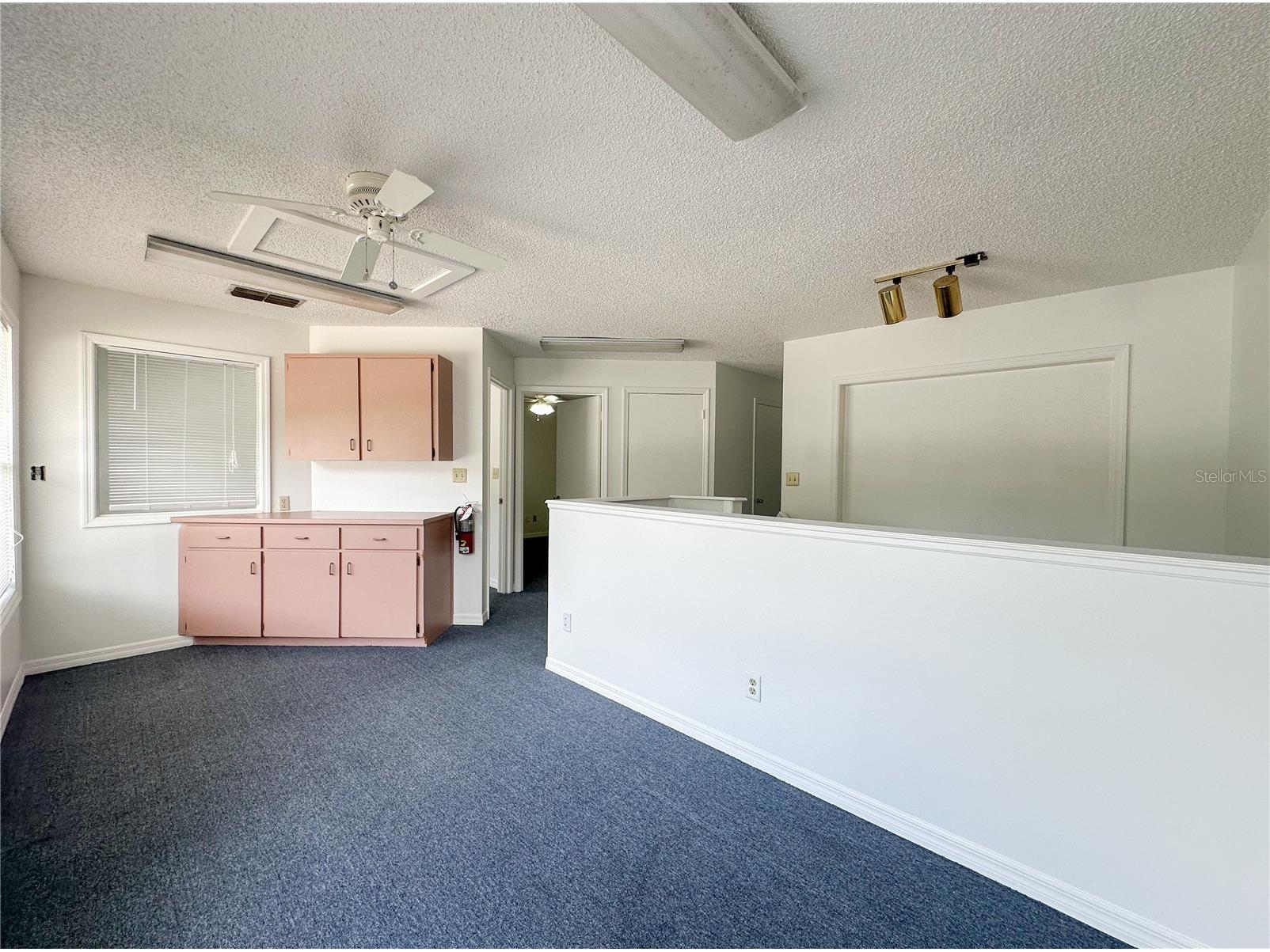 336 E Plant Street Winter Garden FL 34787 O6381842 image13