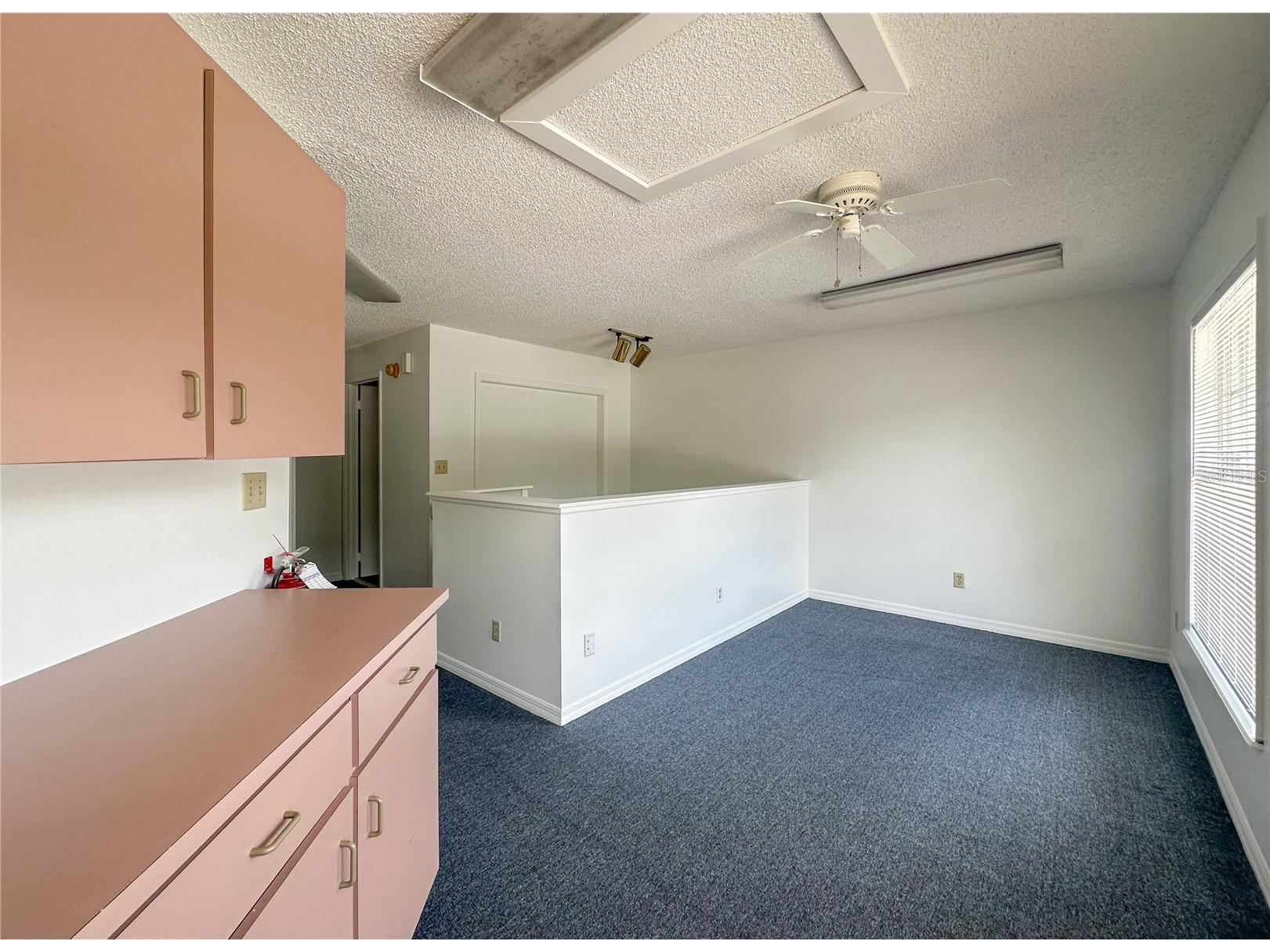336 E Plant Street Winter Garden FL 34787 O6381842 image14