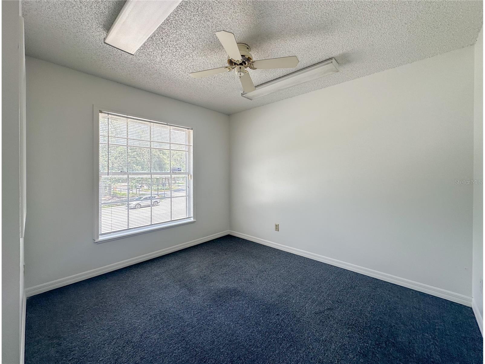 336 E Plant Street Winter Garden FL 34787 O6381842 image18