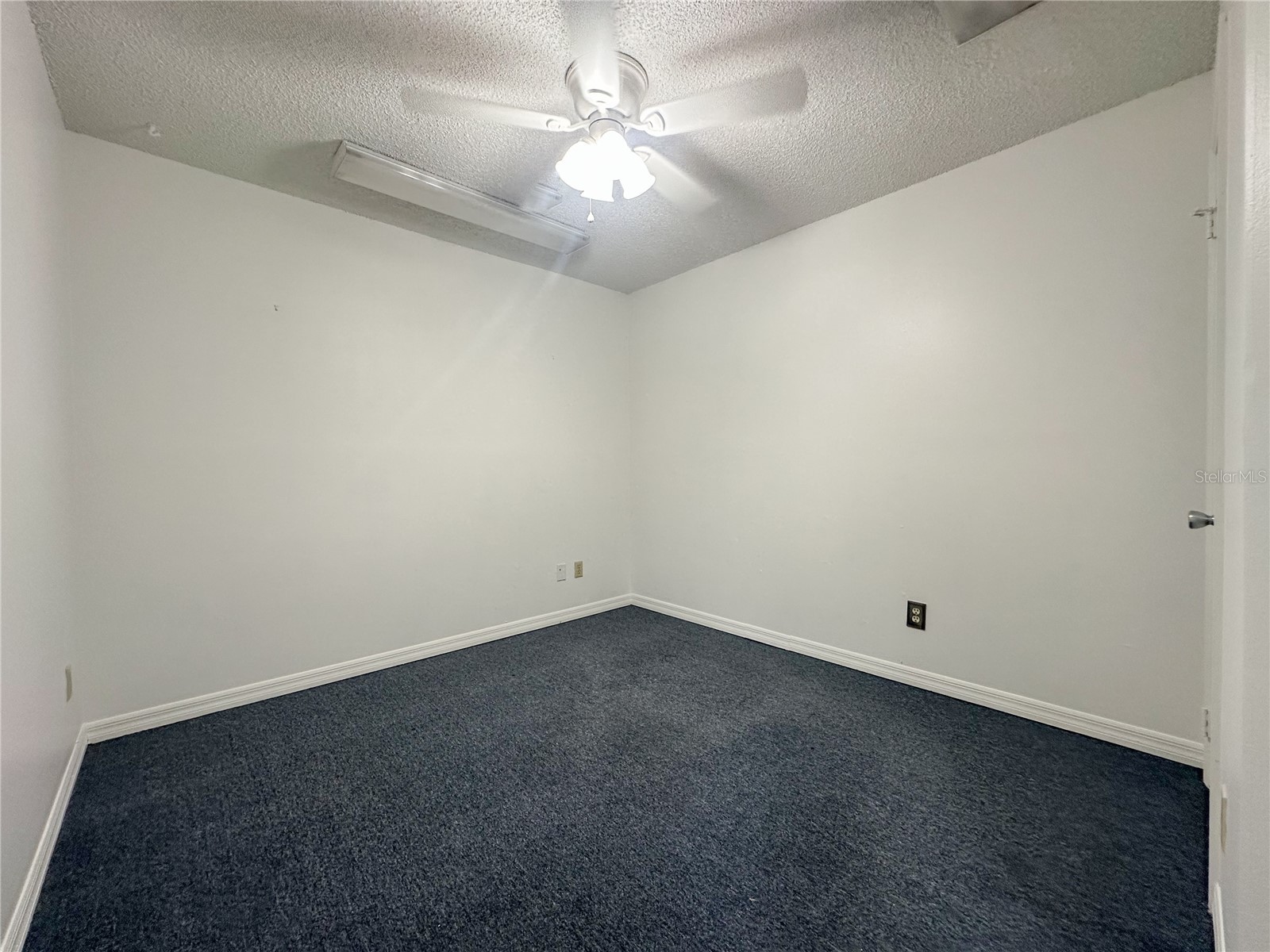 336 E Plant Street Winter Garden FL 34787 O6381842 image4