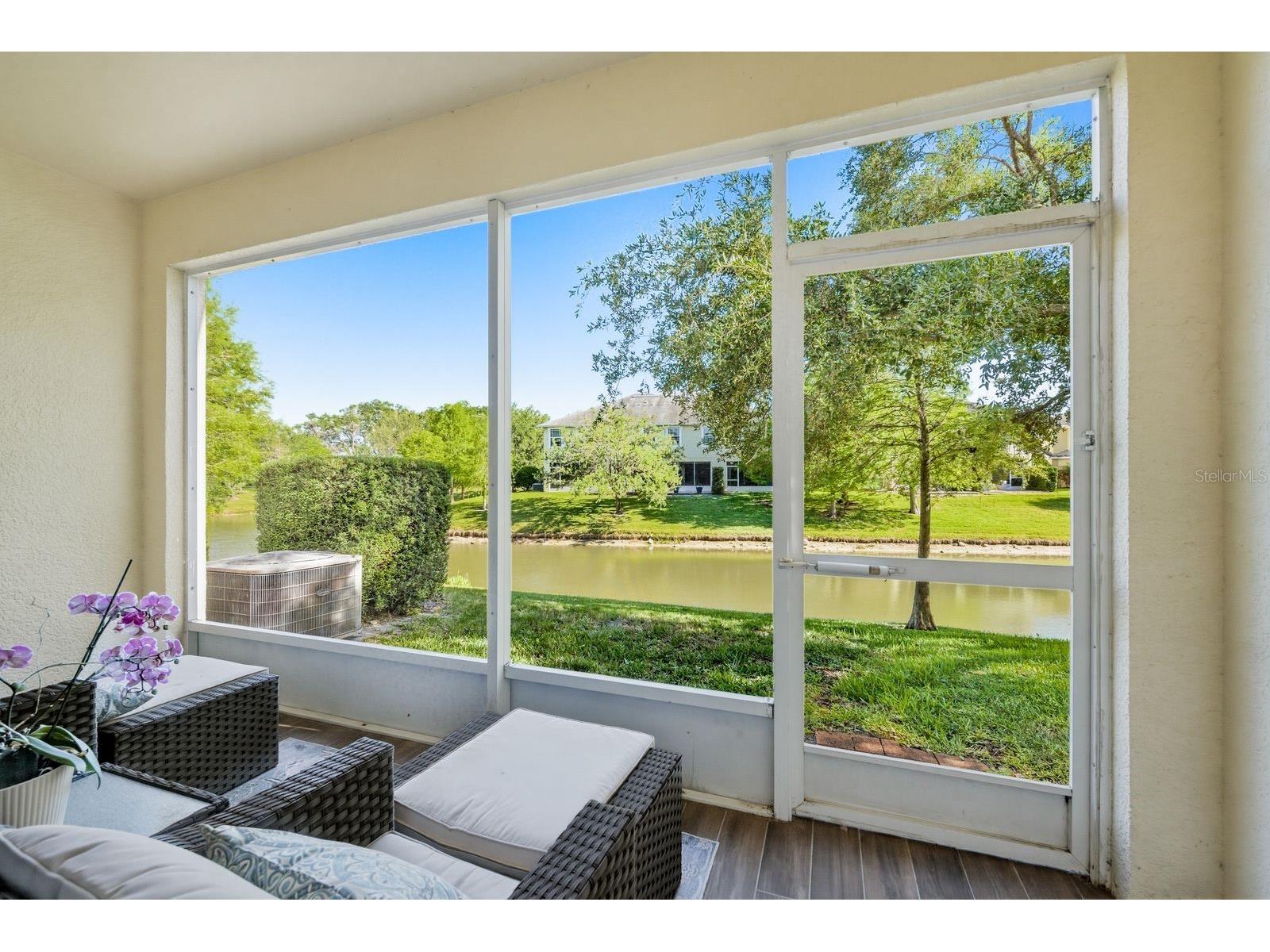 336 Harbor Ridge Drive Palm Harbor FL 34683 TB8507647 image20