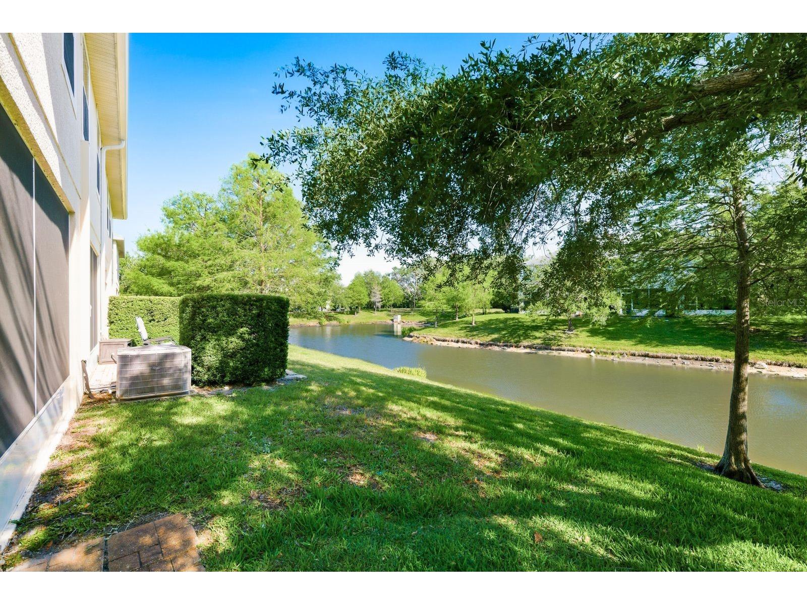 336 Harbor Ridge Drive Palm Harbor FL 34683 TB8507647 image22