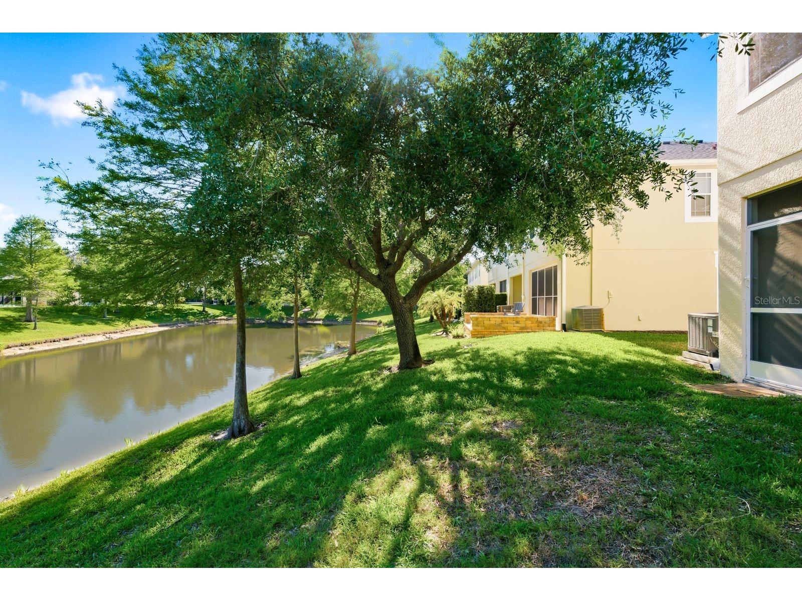 336 Harbor Ridge Drive Palm Harbor FL 34683 TB8507647 image25