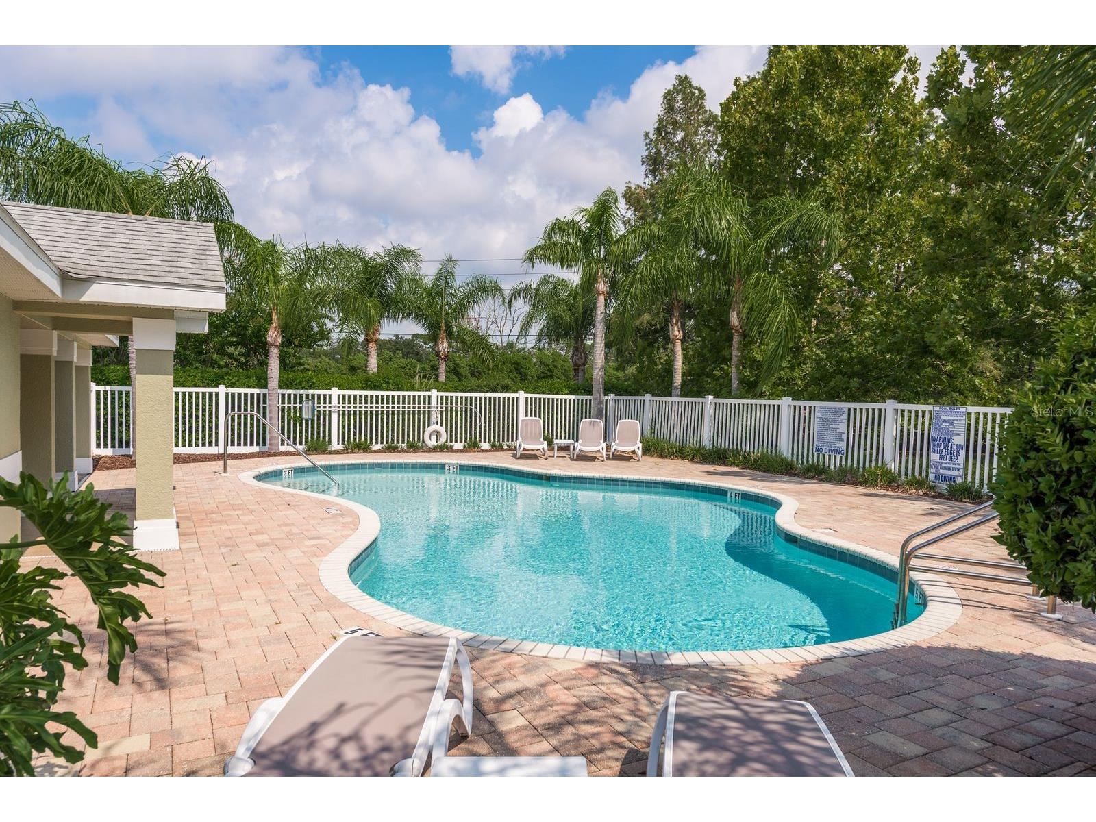 336 Harbor Ridge Drive Palm Harbor FL 34683 TB8507647 image27