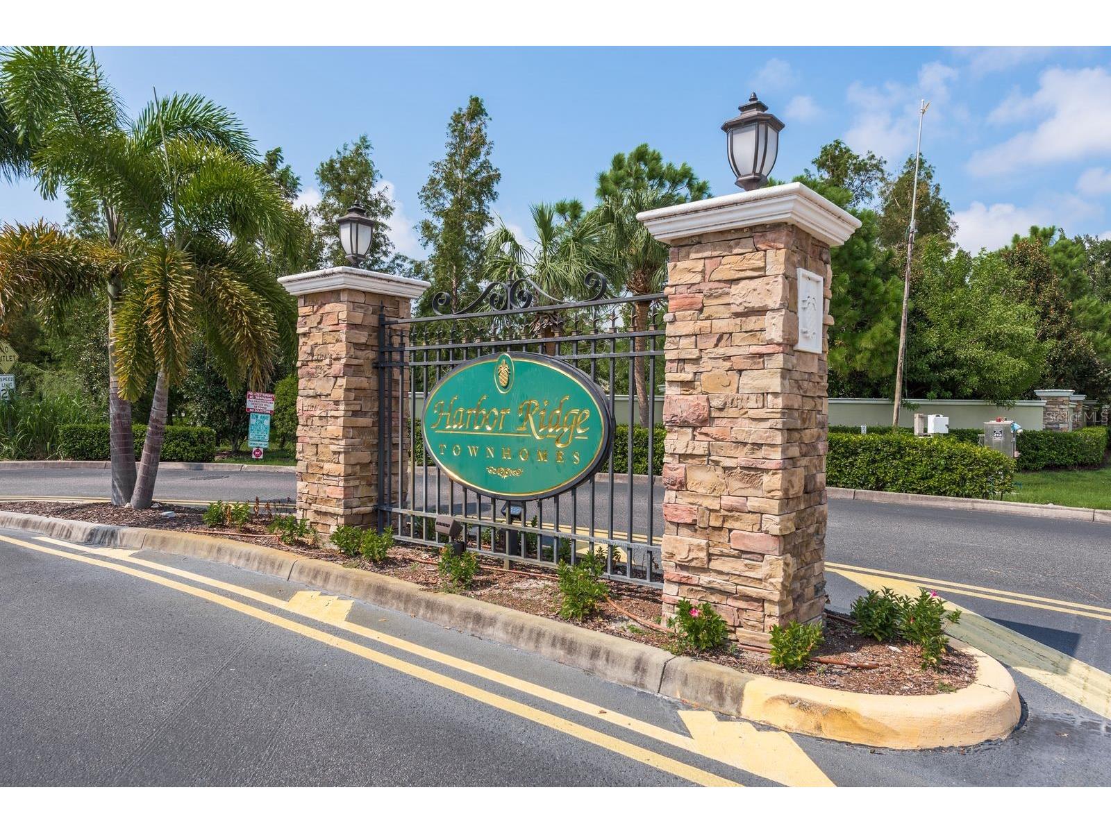 336 Harbor Ridge Drive Palm Harbor FL 34683 TB8507647 image28