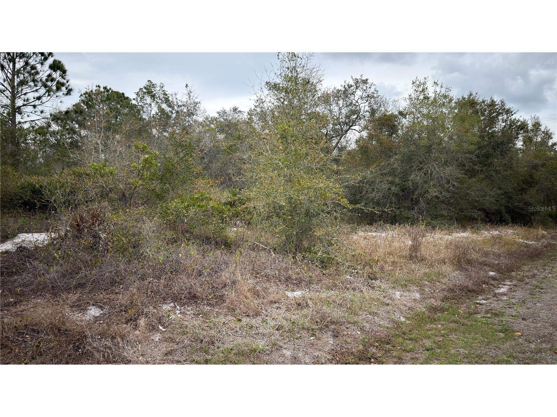 336 Pershing Avenue Lake Placid FL 33852 S5145566 image1