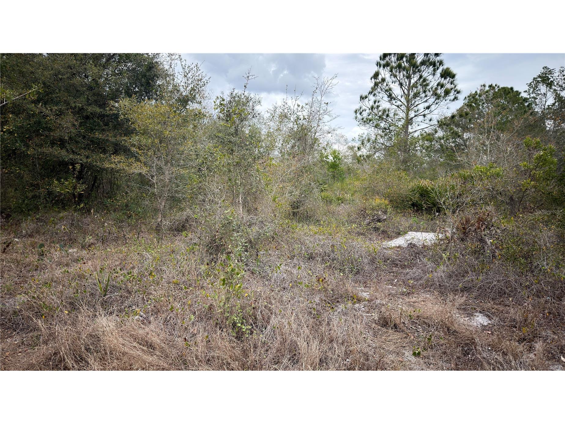 336 Pershing Avenue Lake Placid FL 33852 S5145566 image2