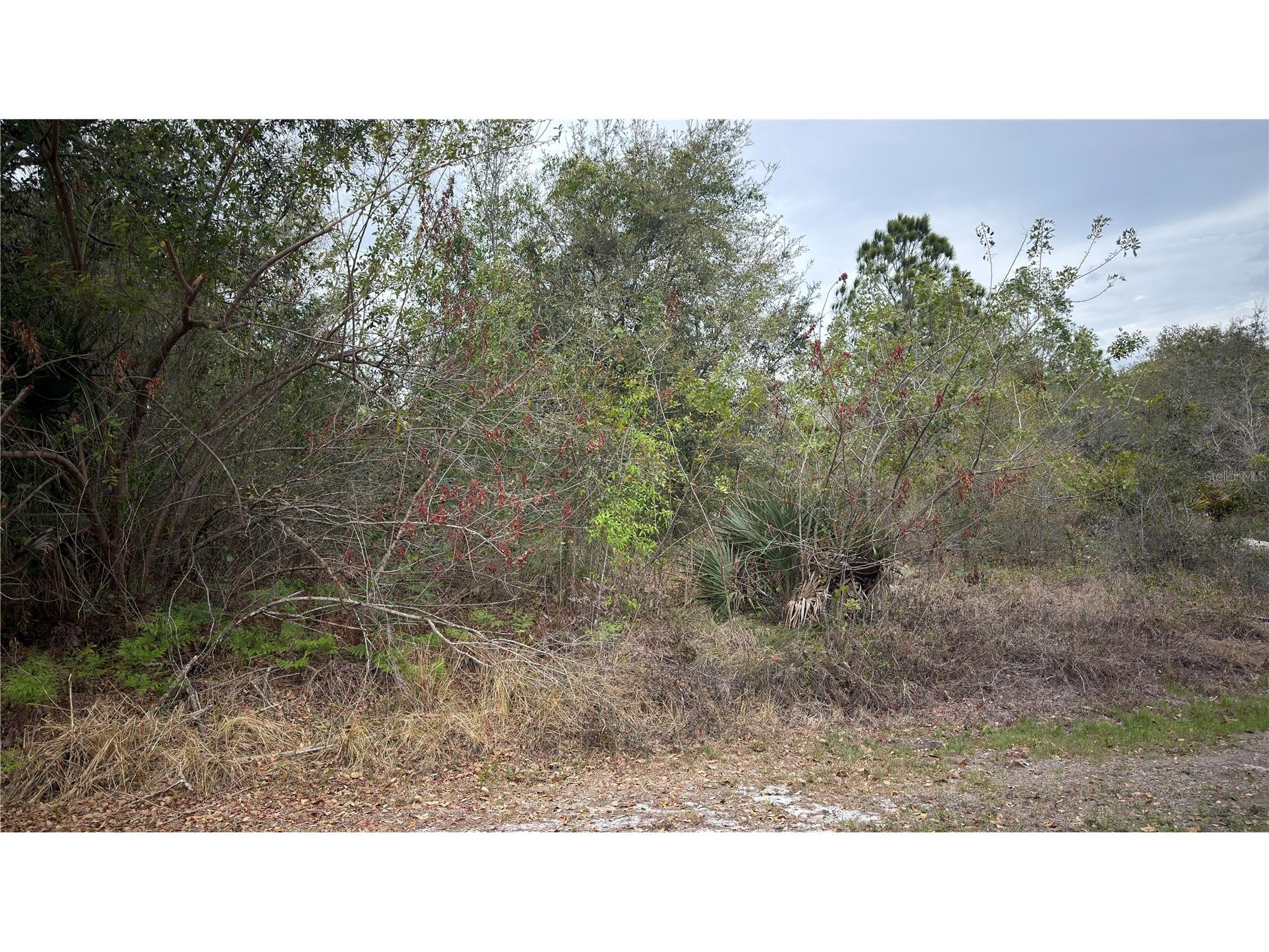 336 Pershing Avenue Lake Placid FL 33852 S5145566 image3