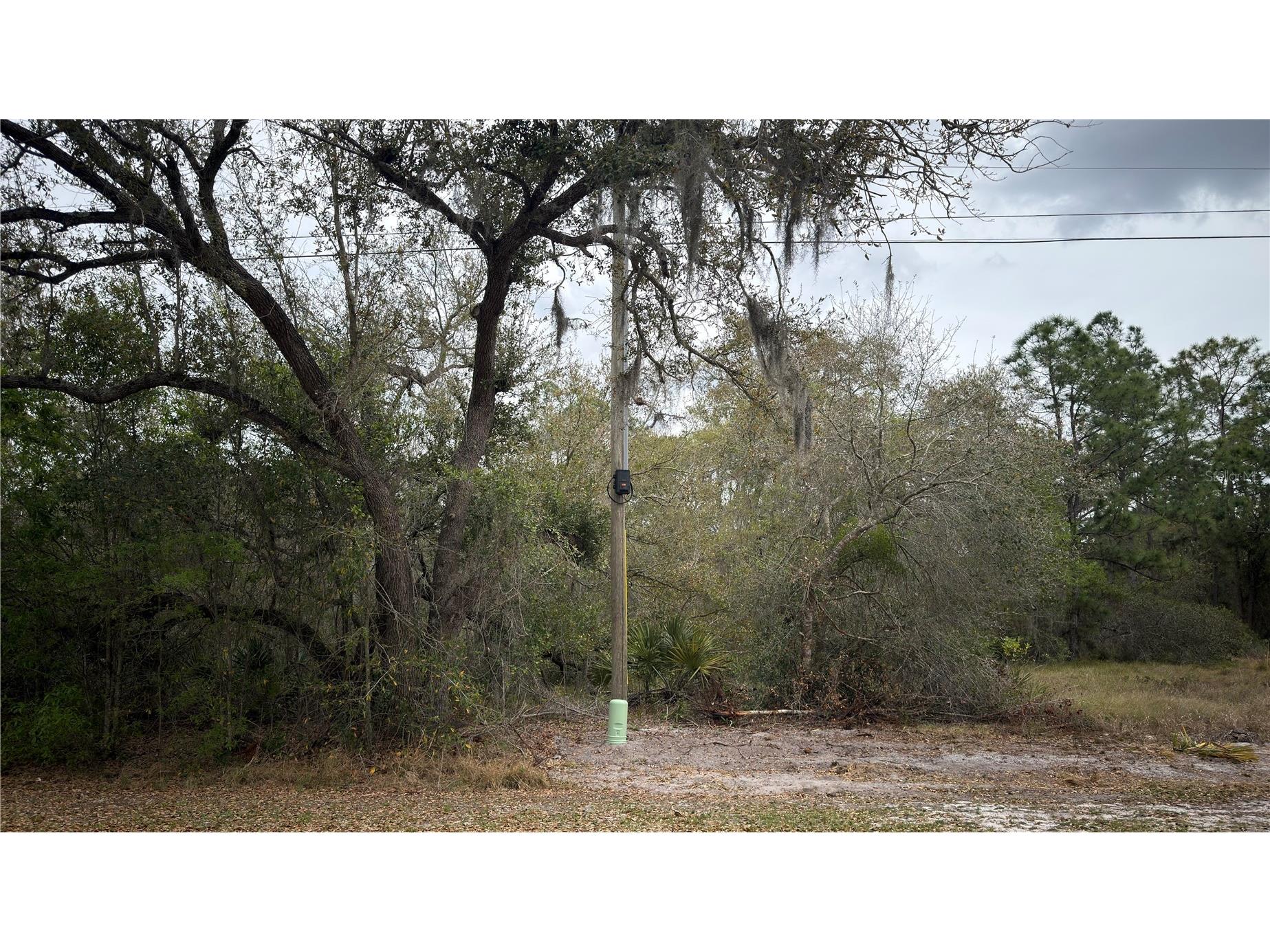 336 Pershing Avenue Lake Placid FL 33852 S5145566 image4
