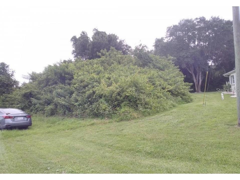 336 Rosario Street Punta Gorda FL 33983 C7522656 image2