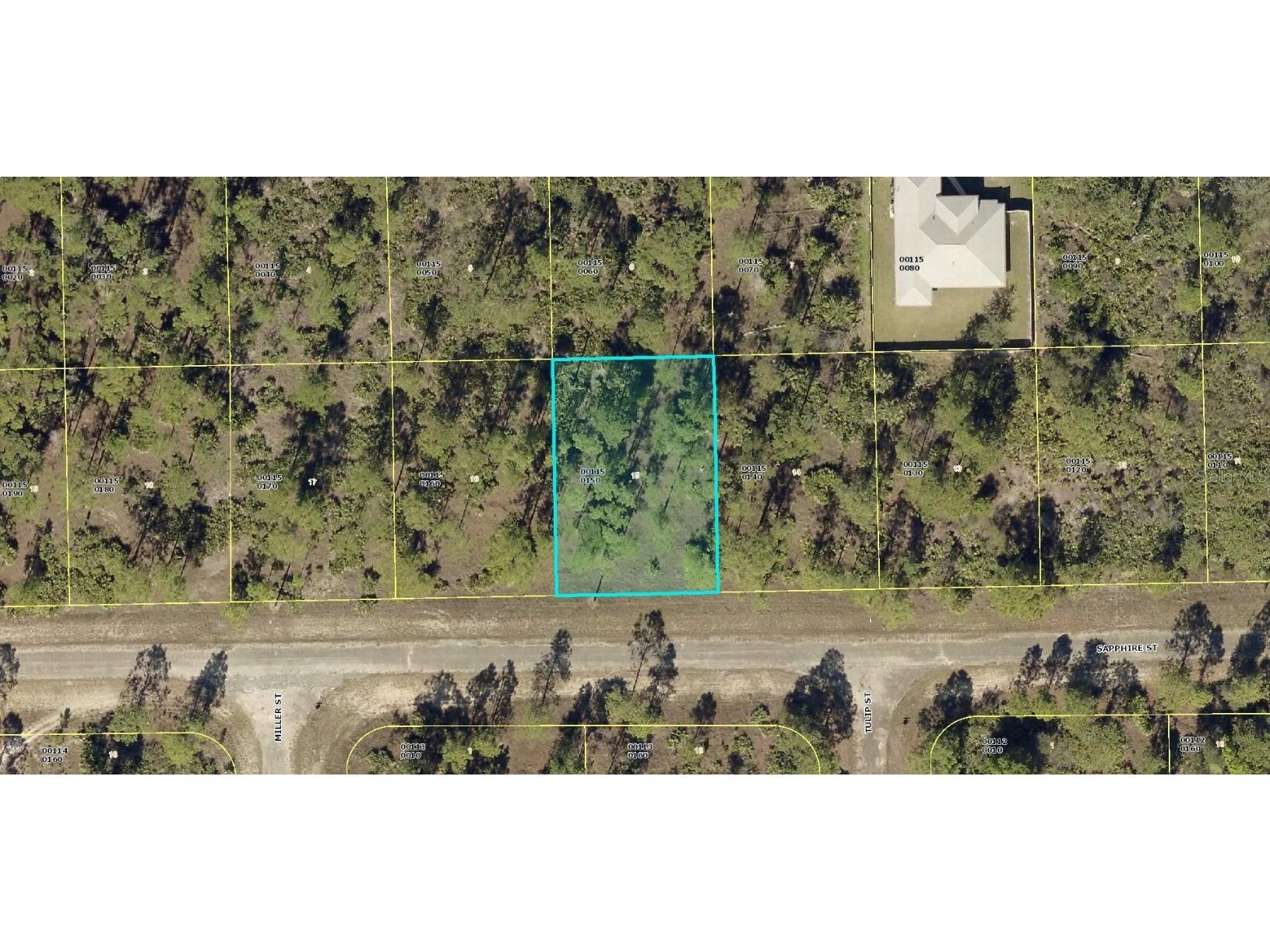 336 Sapphire Street Lehigh Acres FL 33972 A4559099 image1