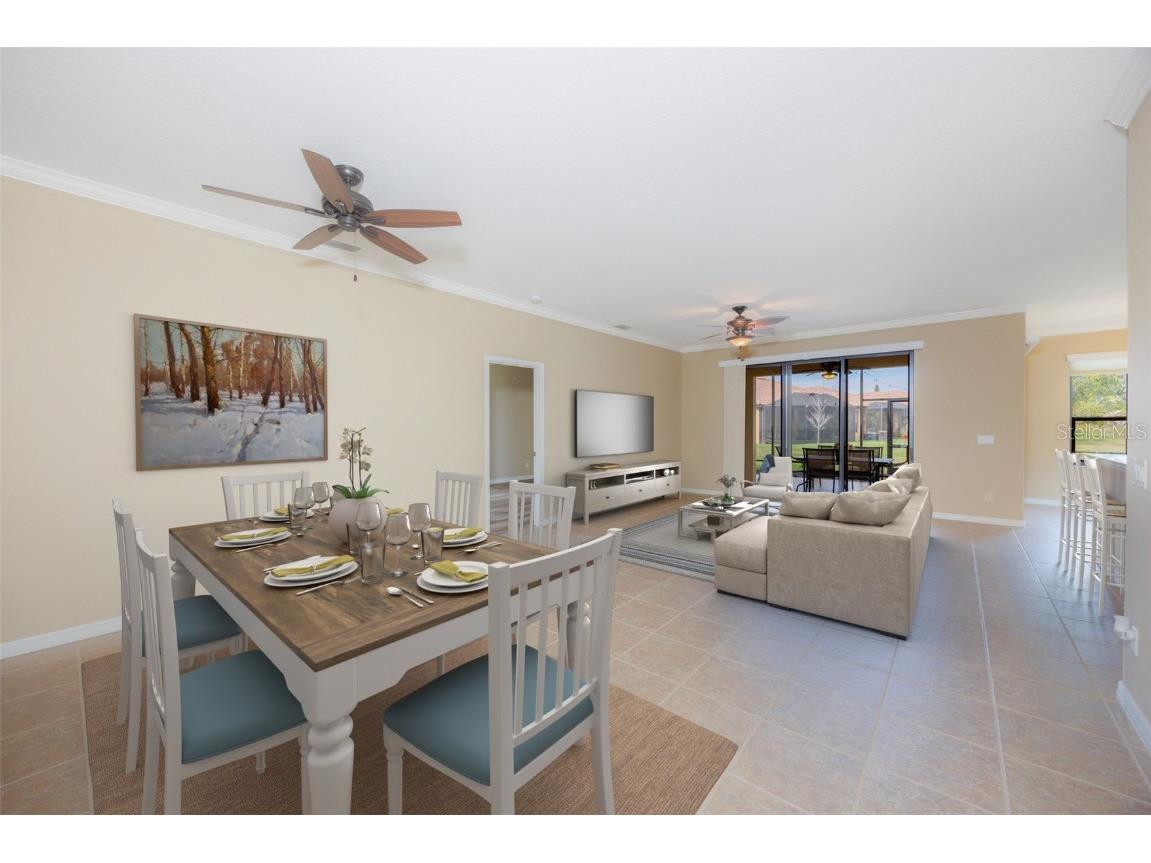 336 Silver Falls Drive Apollo Beach FL 33572 - POND TB8456223 image10