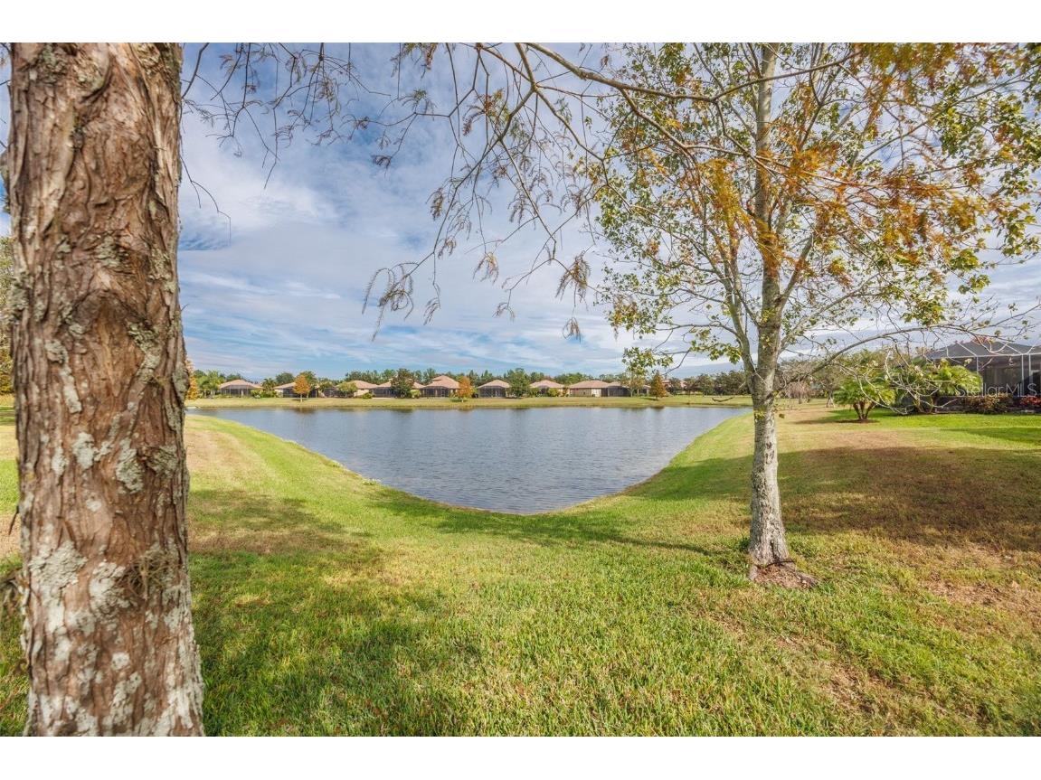 336 Silver Falls Drive Apollo Beach FL 33572 - POND TB8456223 image32