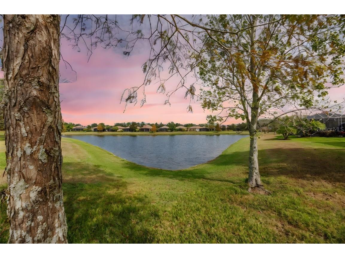 336 Silver Falls Drive Apollo Beach FL 33572 - POND TB8456223 image33