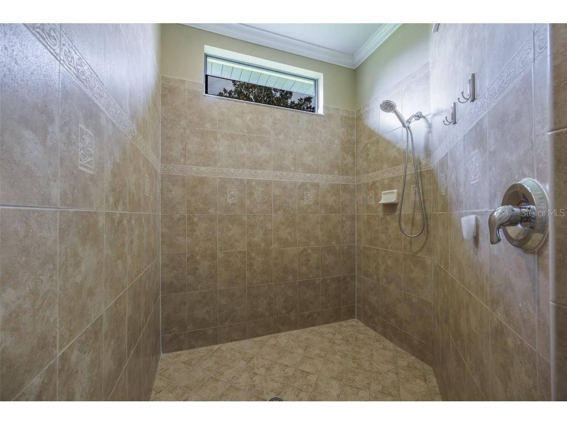 336 Silver Falls Drive Apollo Beach FL 33572 - POND TB8456223 image43