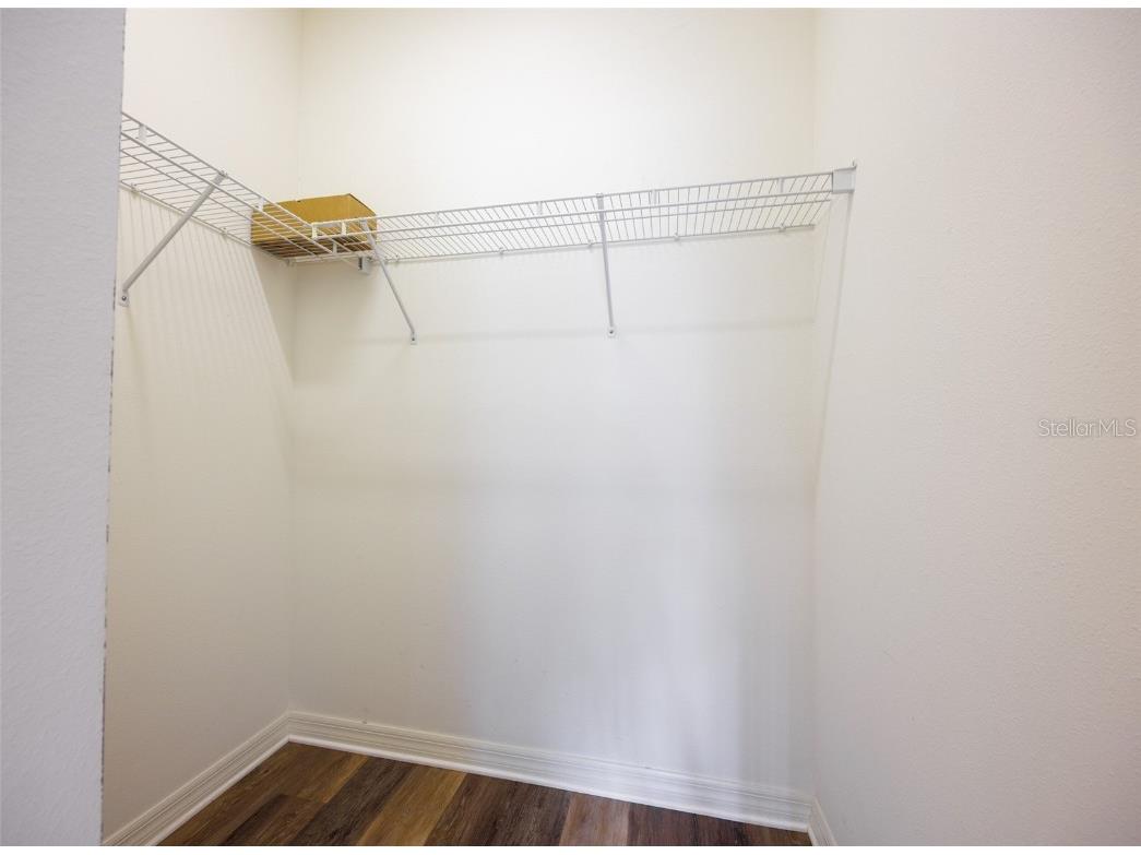 336 Silver Falls Drive Apollo Beach FL 33572 - POND TB8456223 image52