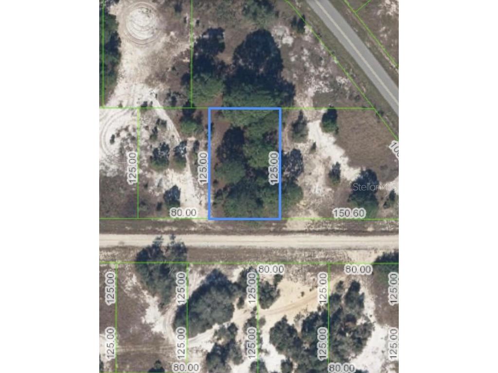 336 Sweetheart Avenue Lake Placid FL 33852 O6207613 image1